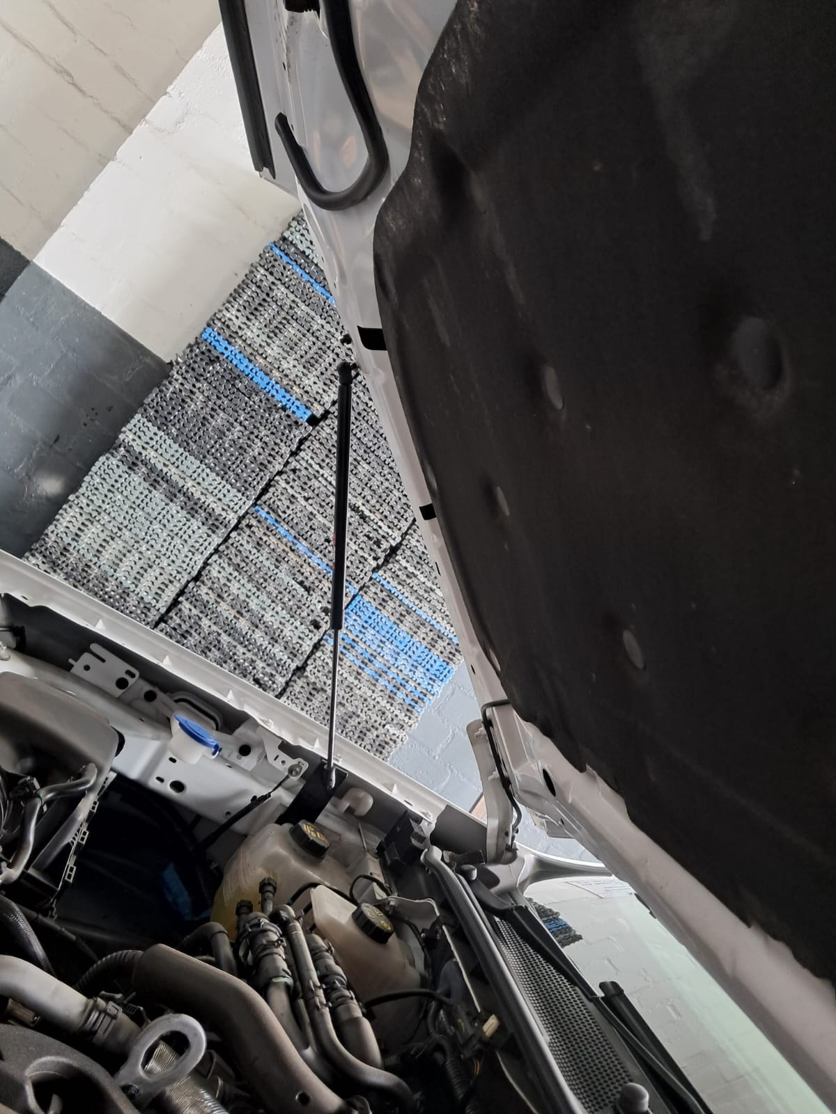 Ford Ranger Next Gen 2023+ Hood Strut