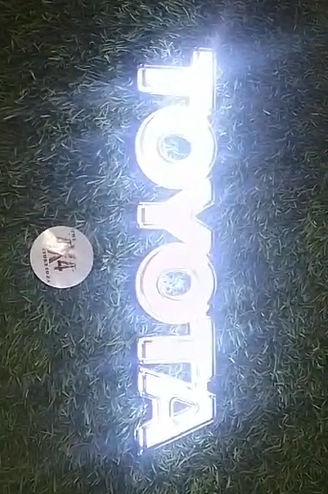 Toyota LED Badge