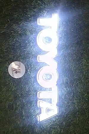Toyota (Word) 4D LED Badge (50mm X 250mm) Clear