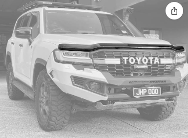 Toyota Land Cruise 300 2022+ Bonnet Guards Gloss Black