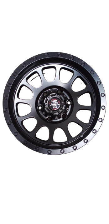16 inch Rims / Mags